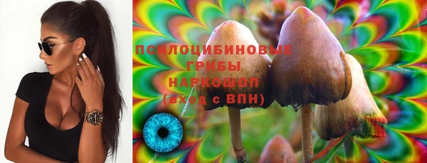 метадон Осташков
