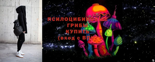 метадон Осташков