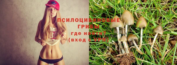 метадон Осташков